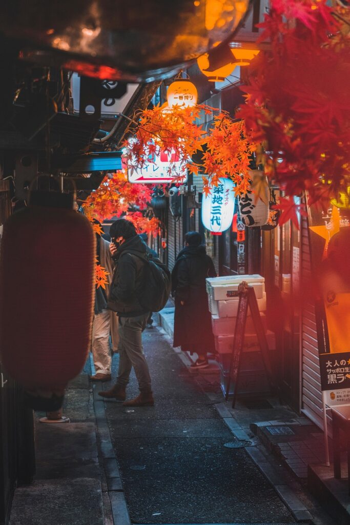 people, autumn, street, japan, city, shinjuku, night, people, japan, japan, japan, japan, japan, shinjuku